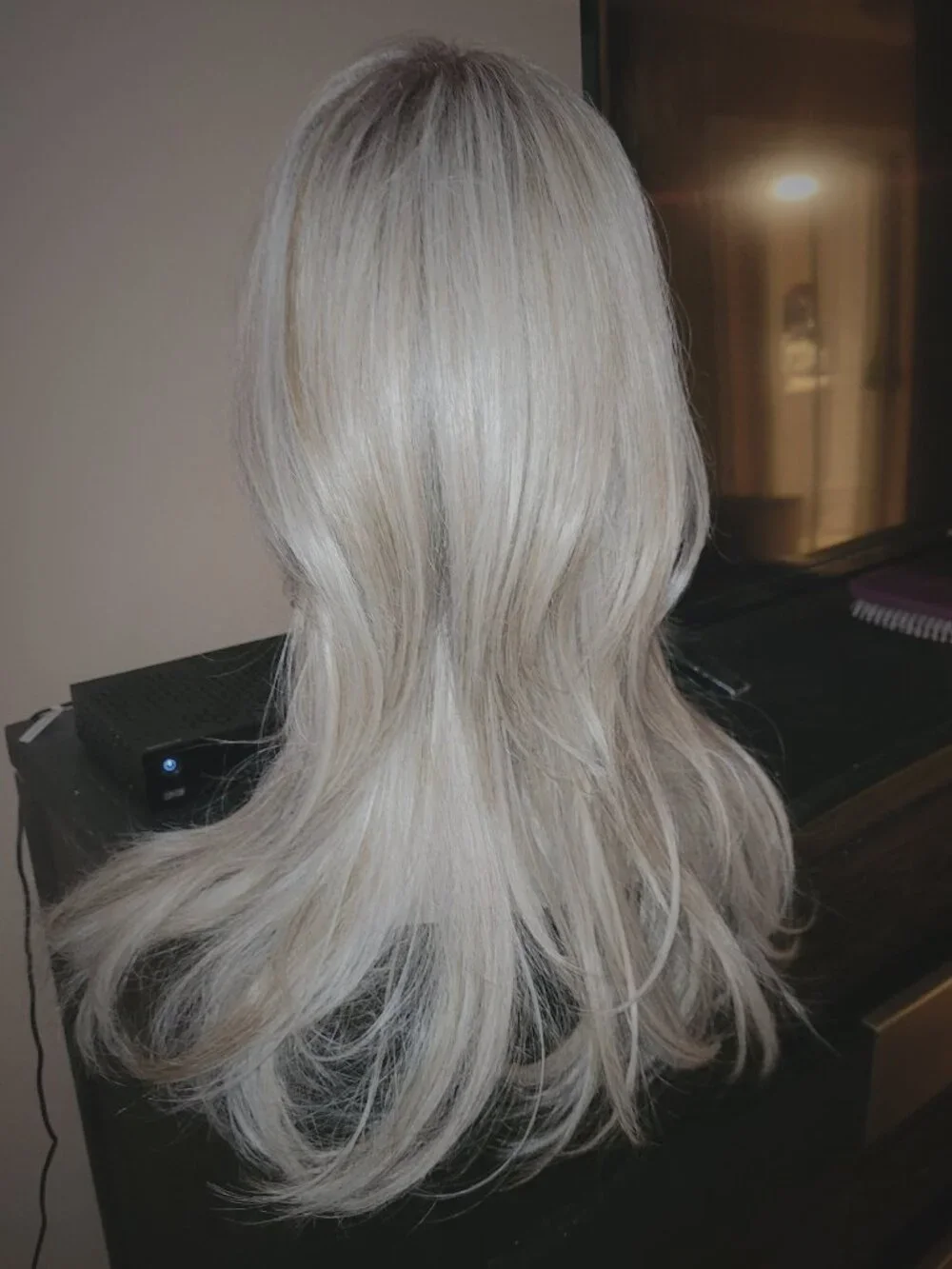 NWT MEL Ash blonde 20 inch long wig